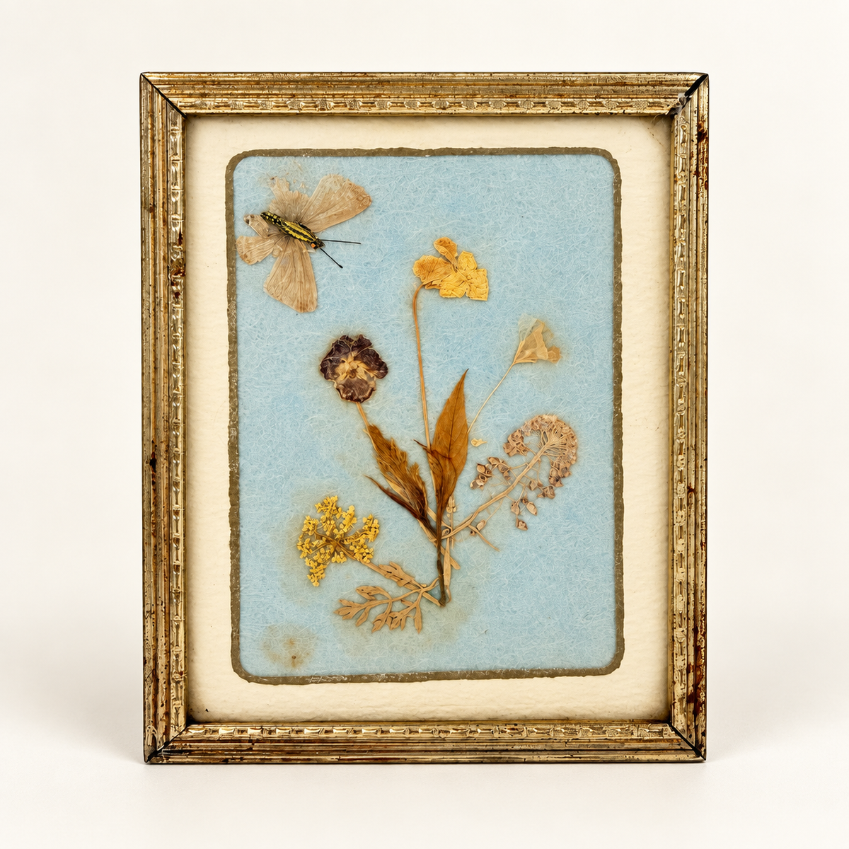 Vintage miniature pressed flower art with butterfly in gold easel frame, front view, photo 1 of 4
