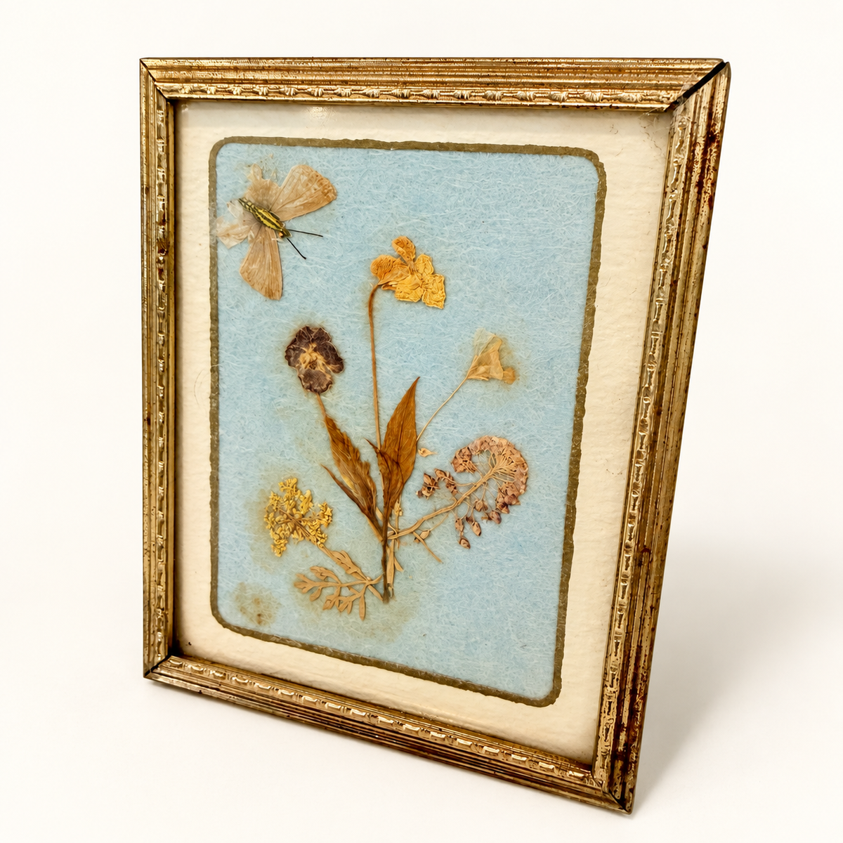 Angled view of small pressed flower frame on blue paper, photo 2 of 4