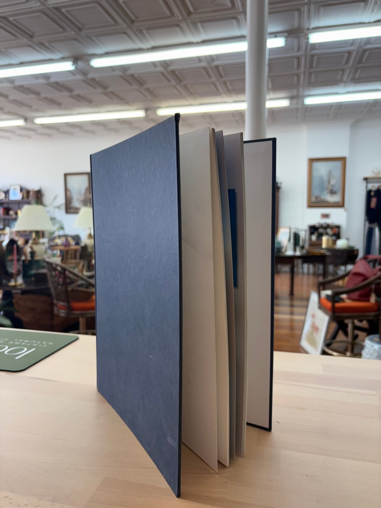 Vintage “The Canadian Rockies” Blue Decorative Book – Shelf Styling Accent - Loom Vintage